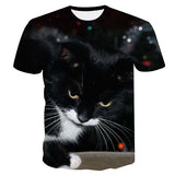 Fashion Brand T-Shirt